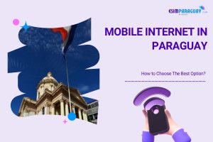 Mobile Internet in Paraguay feature picture